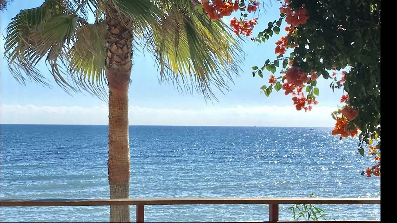 Mi Capricho 170 Beachfront Apartment Sitio de Calahonda Spain